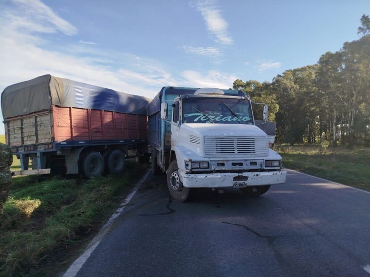 El conductor del camión asegura que Fernando Del Archiprete se arrojó voluntariamente.