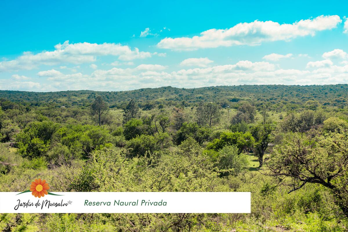 Vista de la reserva privada Jardín de Monsalvo. Tiene casi 120 hectáreas, en la comuna Las Bajadas.