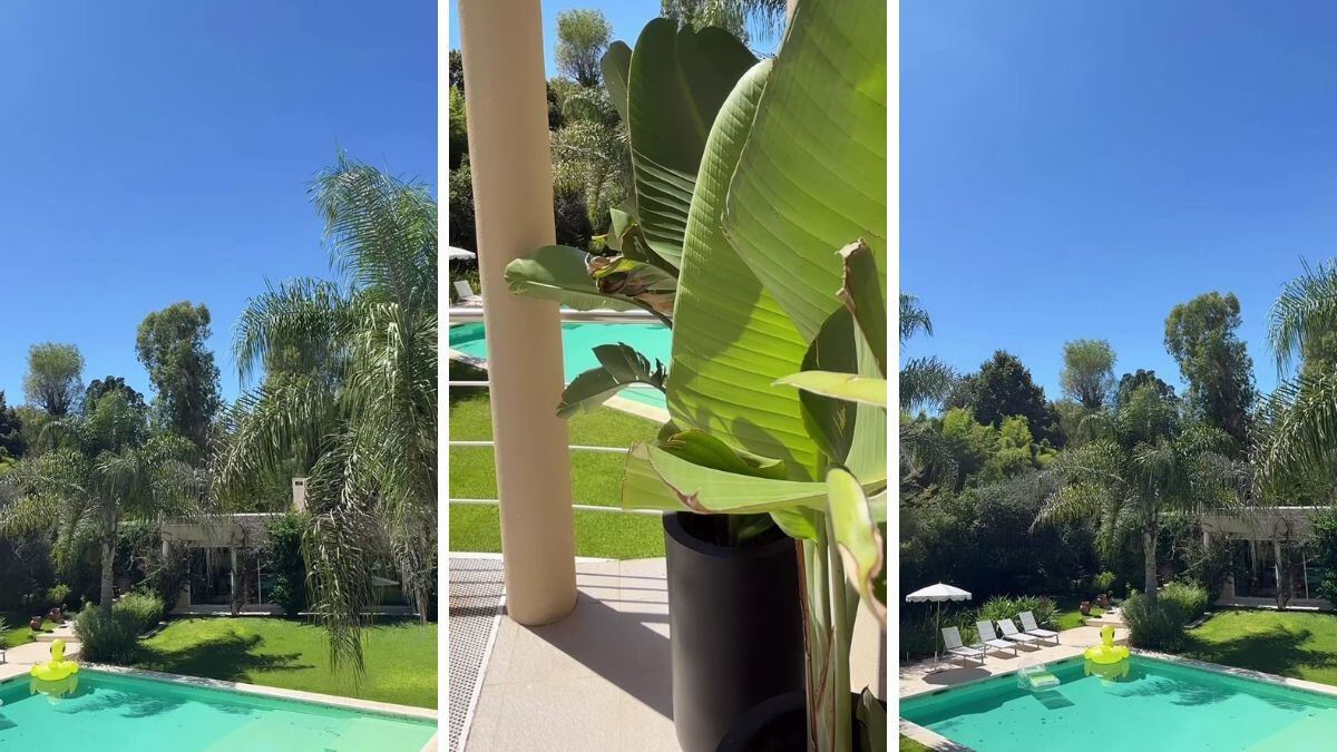 El jardín de la actriz está rodeado de enormes árboles, una pileta inmensa y cómodas reposeras.