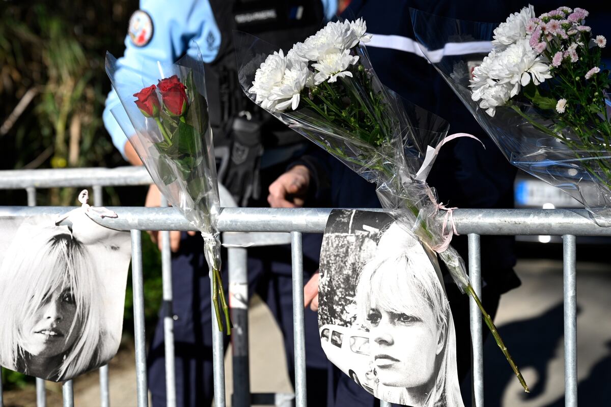 Carteles de la actriz Brigitte Bardot cuelgan en una barrera de seguridad cerca de su casa en Saint-Tropez, sur de Francia, el domingo 28 de diciembre de 2025, tras el fallecimiento de la sex symbol francesa de la década de 1960, que se convirtió en una de las grandes figuras del cine del siglo XX y posteriormente en una activista militante por los derechos de los animales y defensora de la extrema derecha. Tenía 91 años. (AP/ Philippe Magoni)