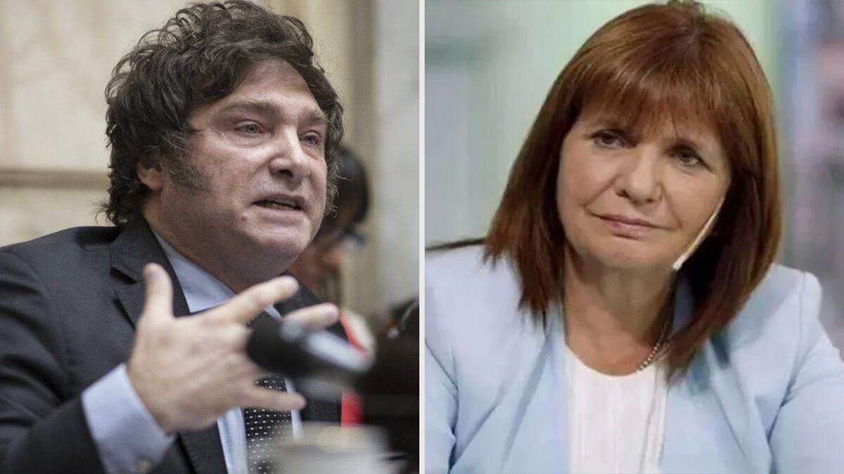 Bullrich y Milei