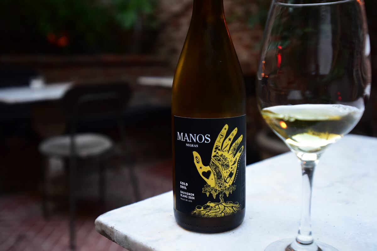 Selección de vinos sauvignon blanc: etiquetas recomendadas. (javier Ferreyra).