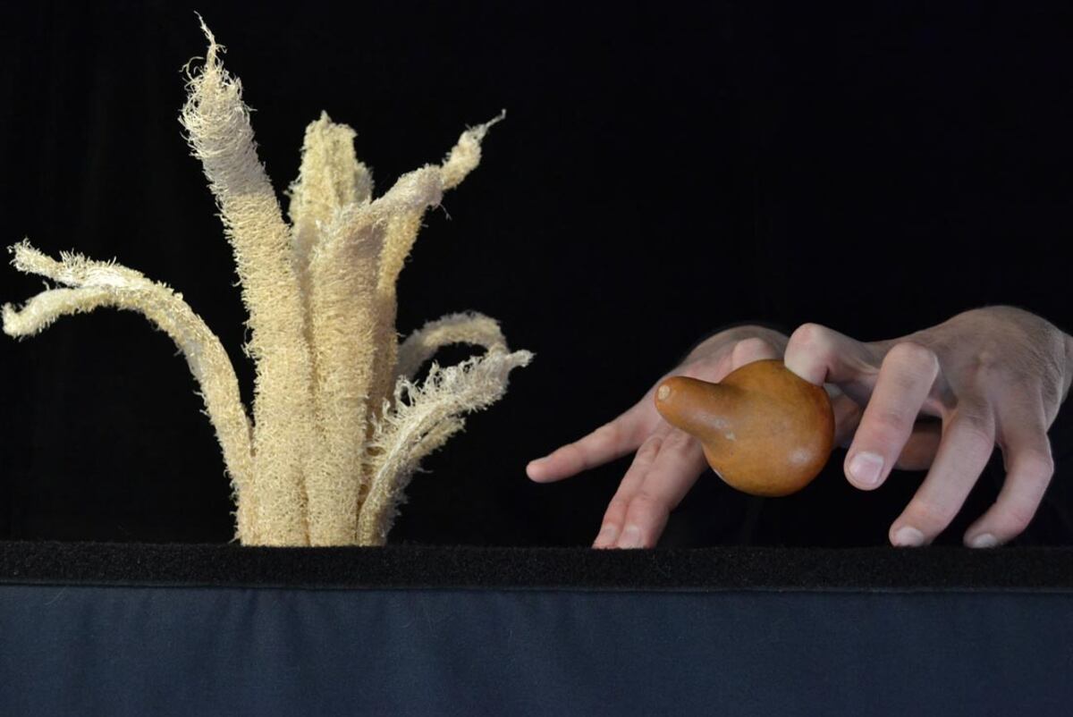 "Calabazín". Titiritero Ivo Siffredi. Gentileza Ivo Siffredi
Calabacín