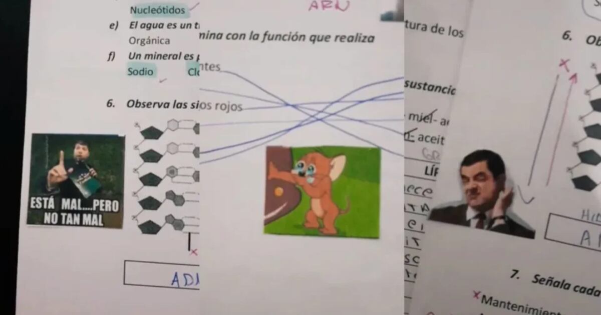 Memes en las pruebas de Biología.