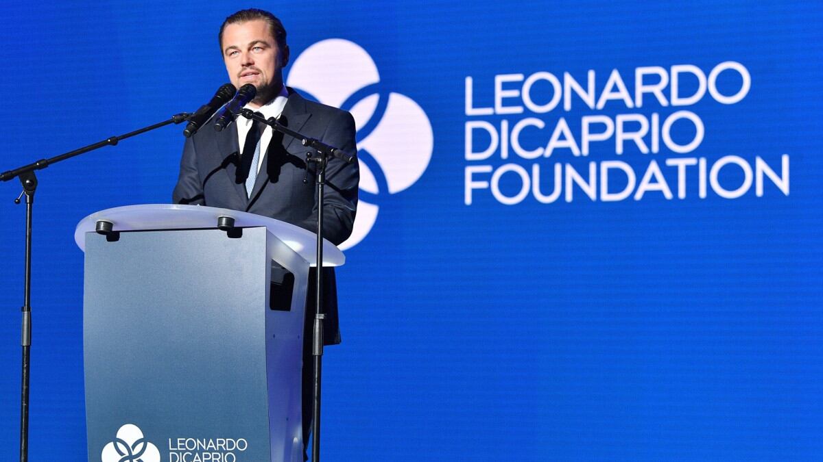 La Fundación Leonardo DiCaprio apoya proyectos innovadores que protegen la vida silvestre, hoy vulnerable de la extinción.