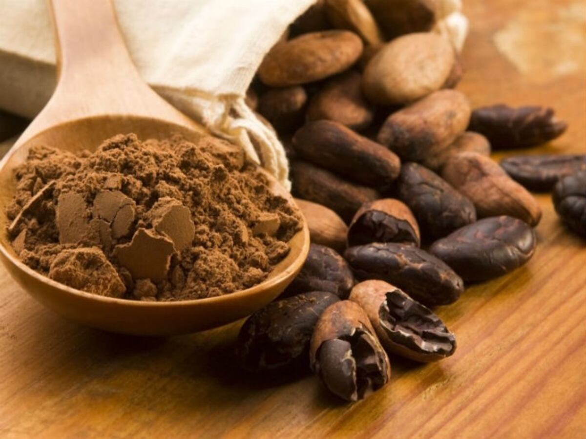Los beneficios del cacao\u002E