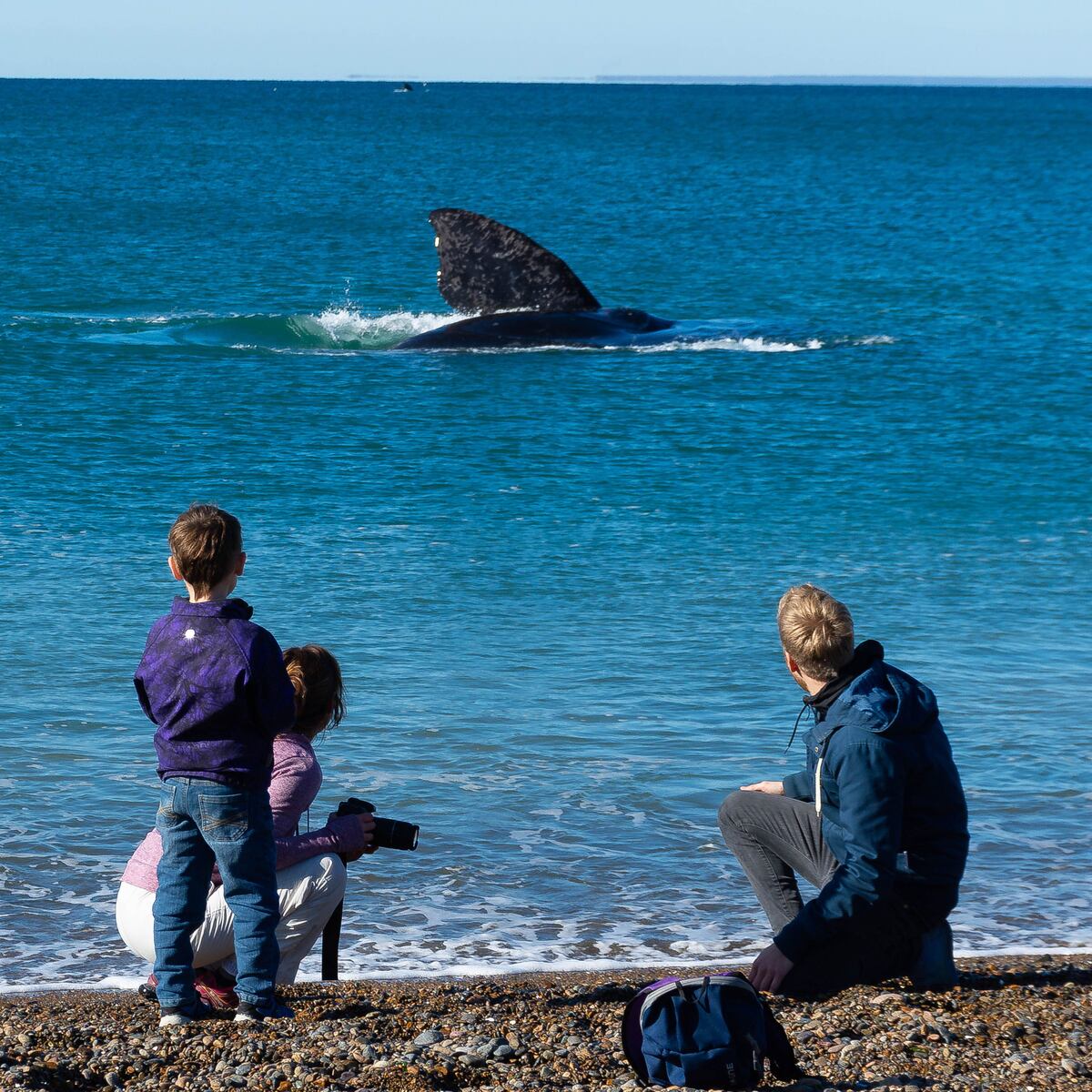 Gentileza: Puerto Madryn Turismo.