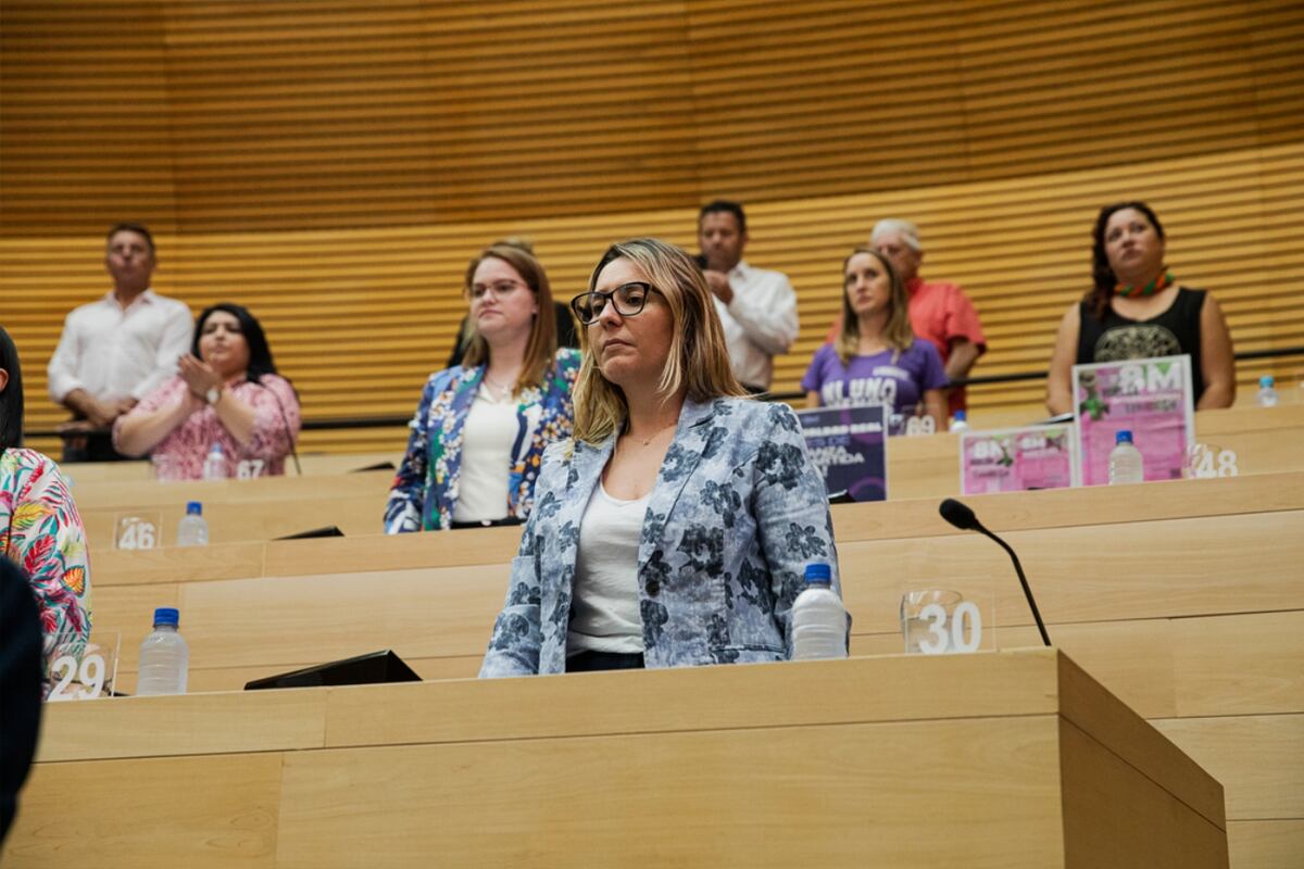 La sesión coincidió con el 8M .(Foto: Comunicación Legislatura de Córdoba)