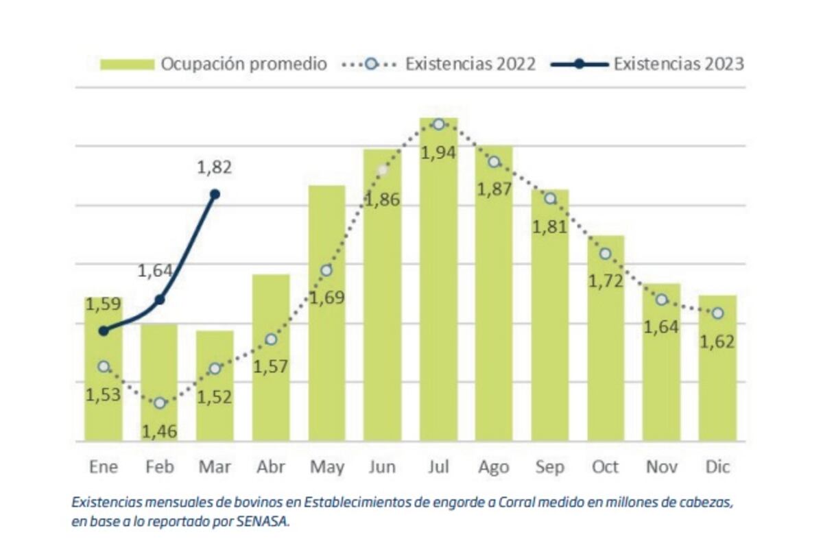 Cuadro ocupación promedio
