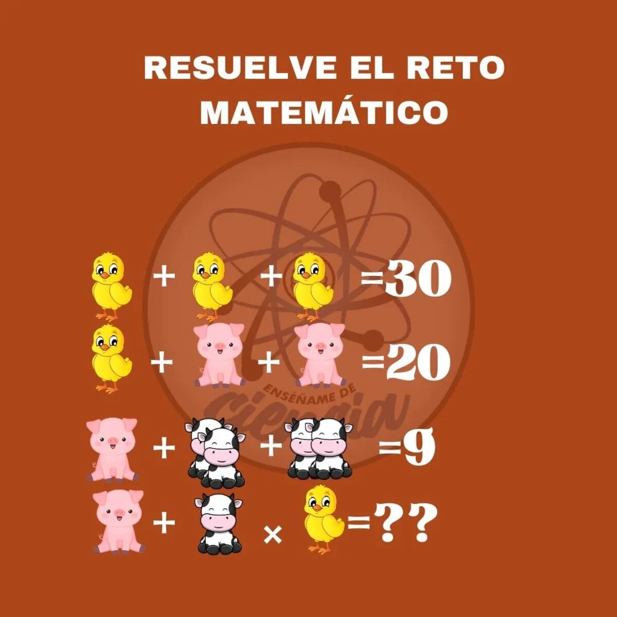 El acertijo.