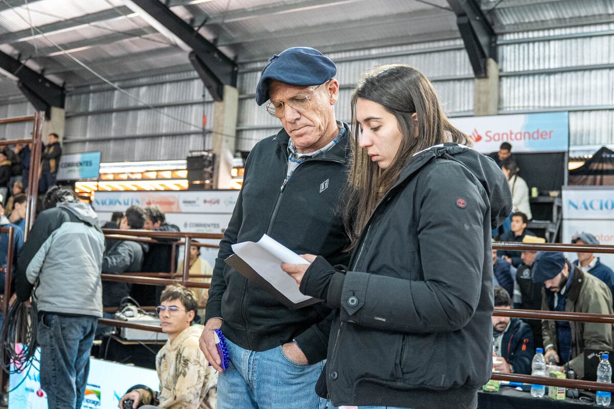 JURADO. Martín Zuza fue el encargado de la jura de la raza Brangus en la Nacional realizada en Corrientes. (Gentileza Expoagro).