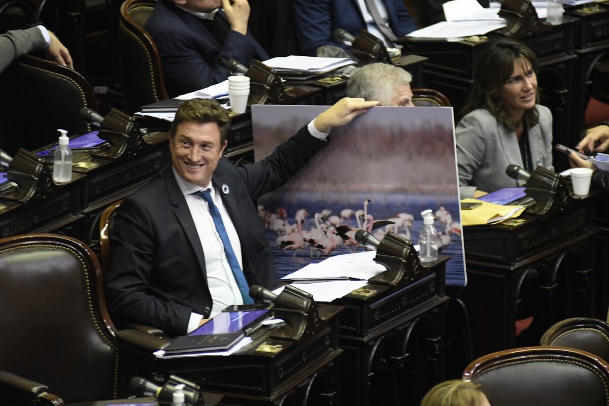 El Diputados Ignacio Aresca mostrando una fotografía del Parque. (Federico Lopez Claro)