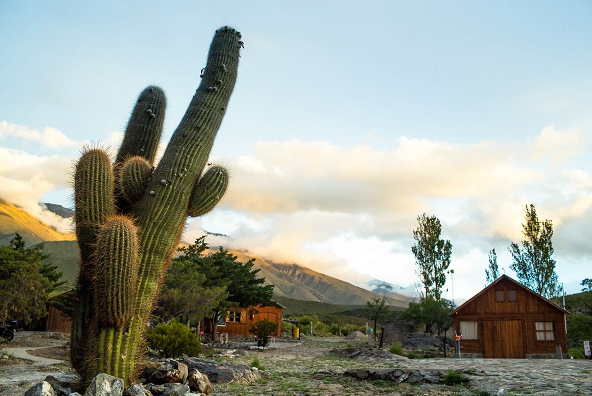 Quienes visitan el observatorio pueden pernoctar en el mismo predio, en cabañas acondicionadas a modo de dormis, con camas cuchetas, ropa de cama y baño individual con agua caliente las 24 horas.
