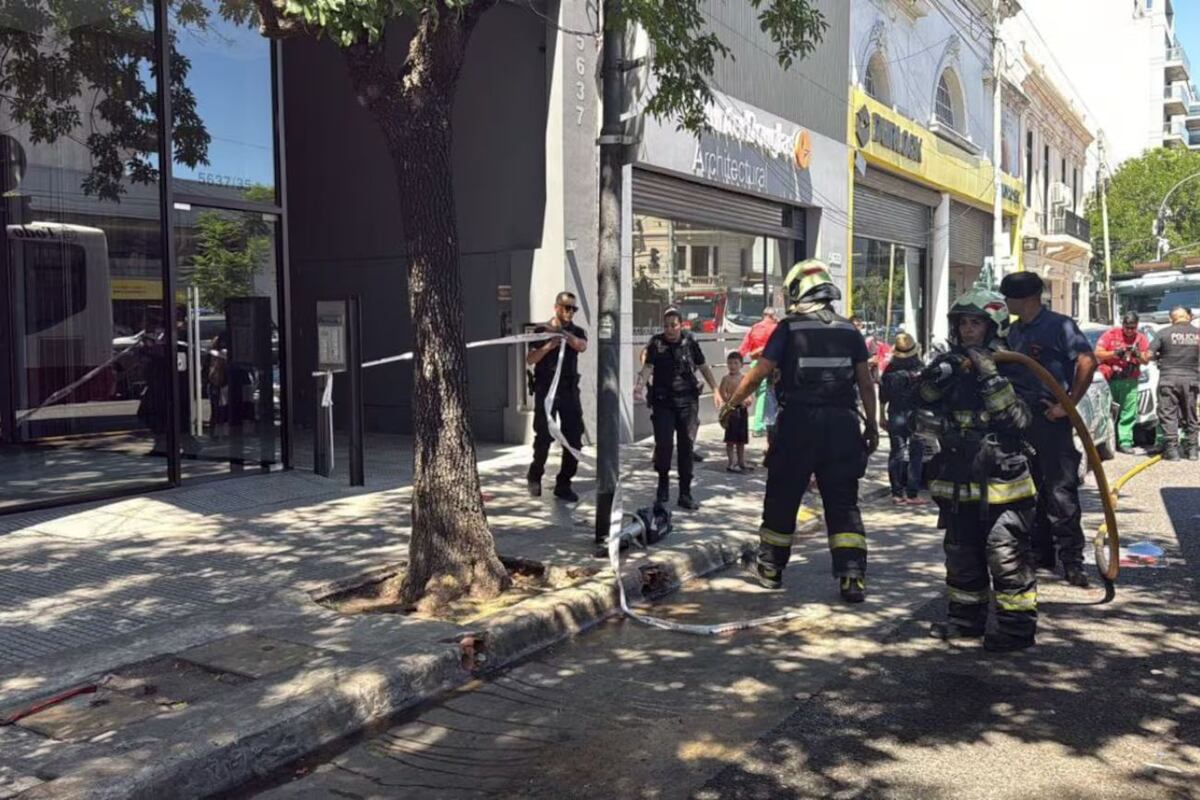 Palermo: un chofer de colectivo se desmayó al volante y chocó a cuatro autos estacionados (Foto: Prensa GCBA)