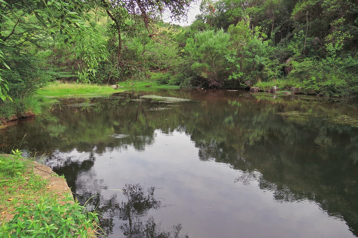 Tranquilidad es lo que encontramos en el Dique Las Ranitas, que invita a los visitantes a descansar bajo la sombra de los frondosos árboles aledaños, escuchando el canto de las aves. (Gentileza: Cba Natural)