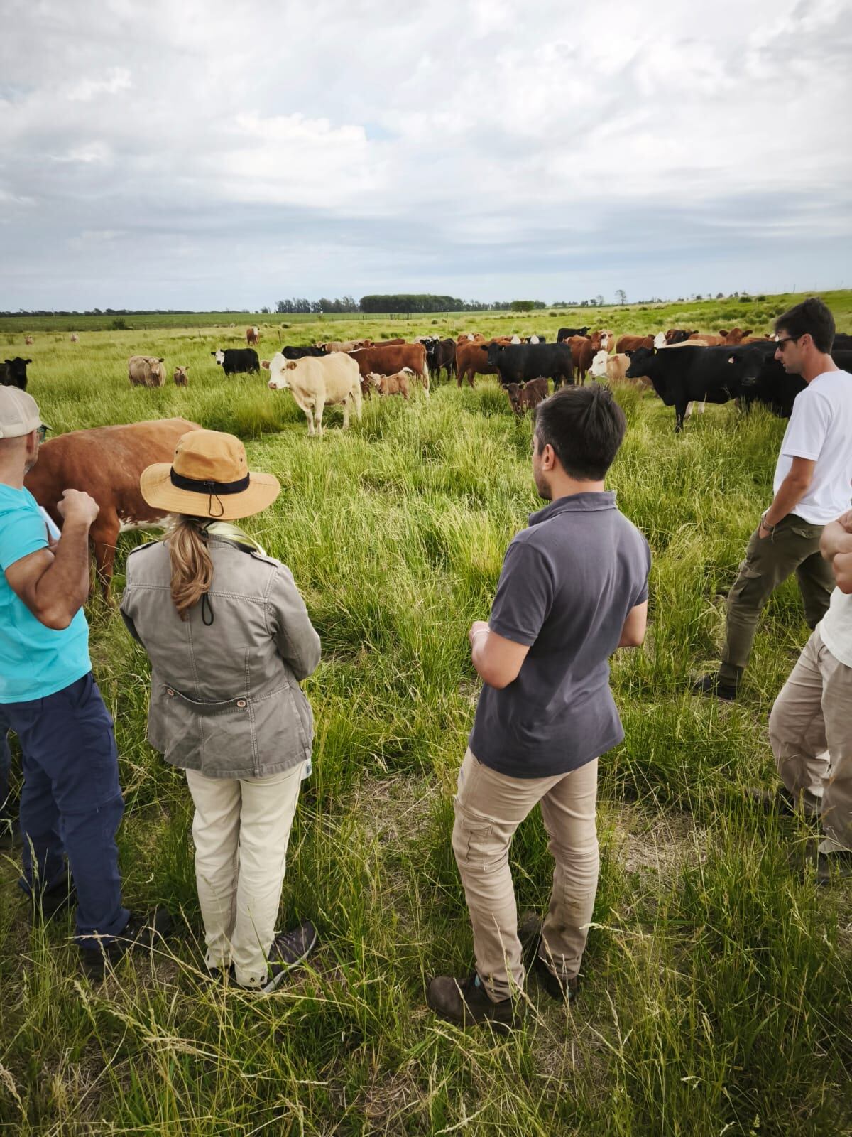 DATOS A CAMPO. A partir del manejo holístico, campos de la zona de San Francisco del Chañar, San Pedro Norte, Alcira Gigena y Río Cuarto mejoraron en tres años un 25 a 50% su carga animal.
