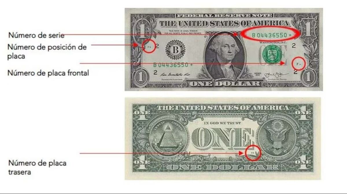 Las características de los billetes coleccionables. (foto: ámbito financiero).