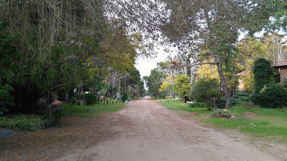Cuál es la playa del “millón de pinos” que queda a solo cuatro horas de Buenos Aires