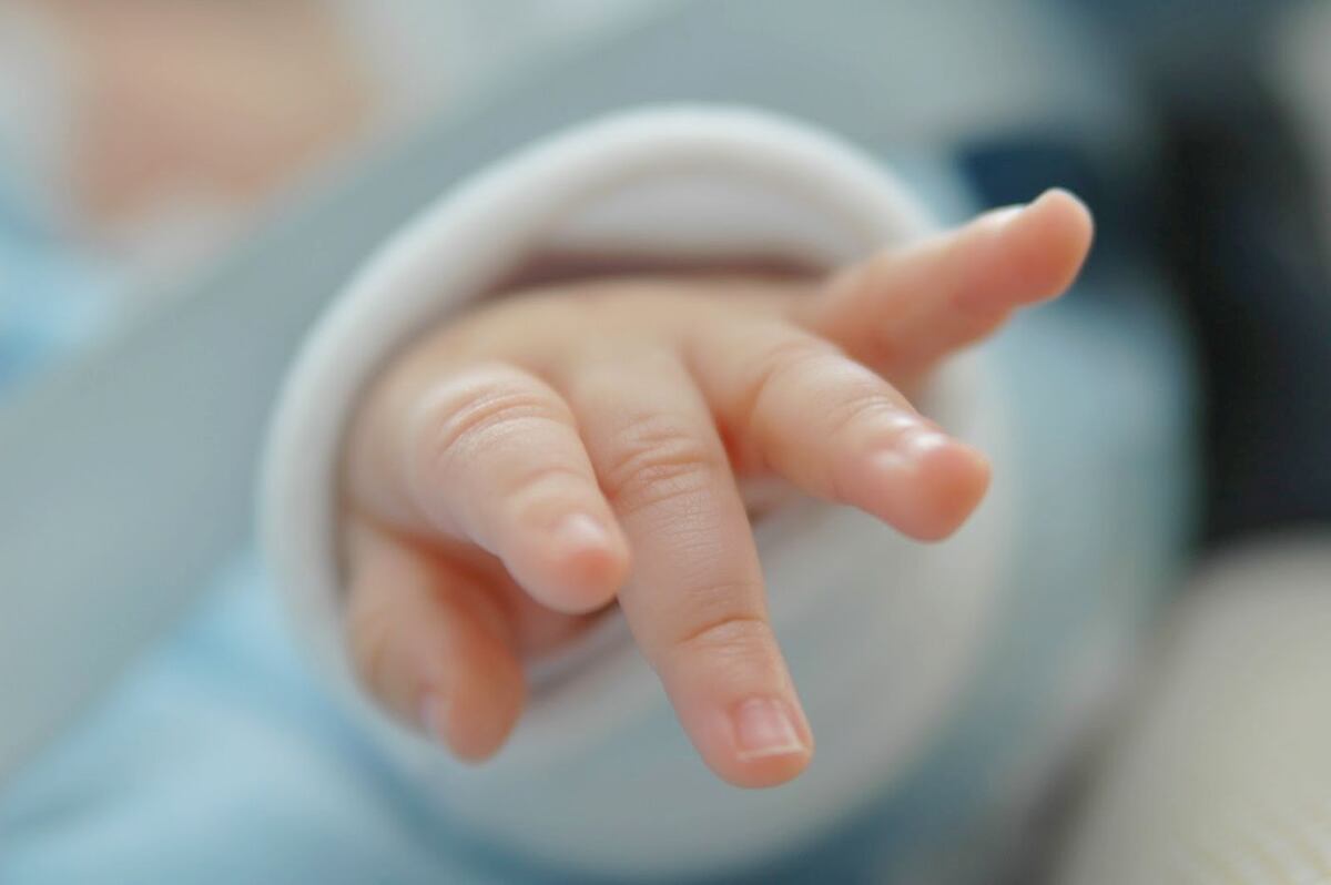Los hogares sin hijos ya son mayoría en Argentina