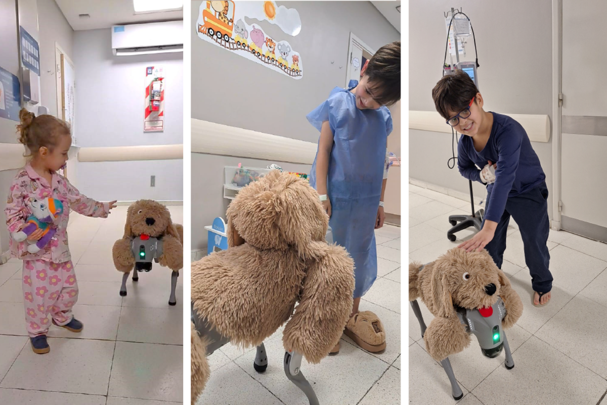 La mascota del internado. Una forma de acercar elementos de lo cotidiano al ámbito hospitalario.