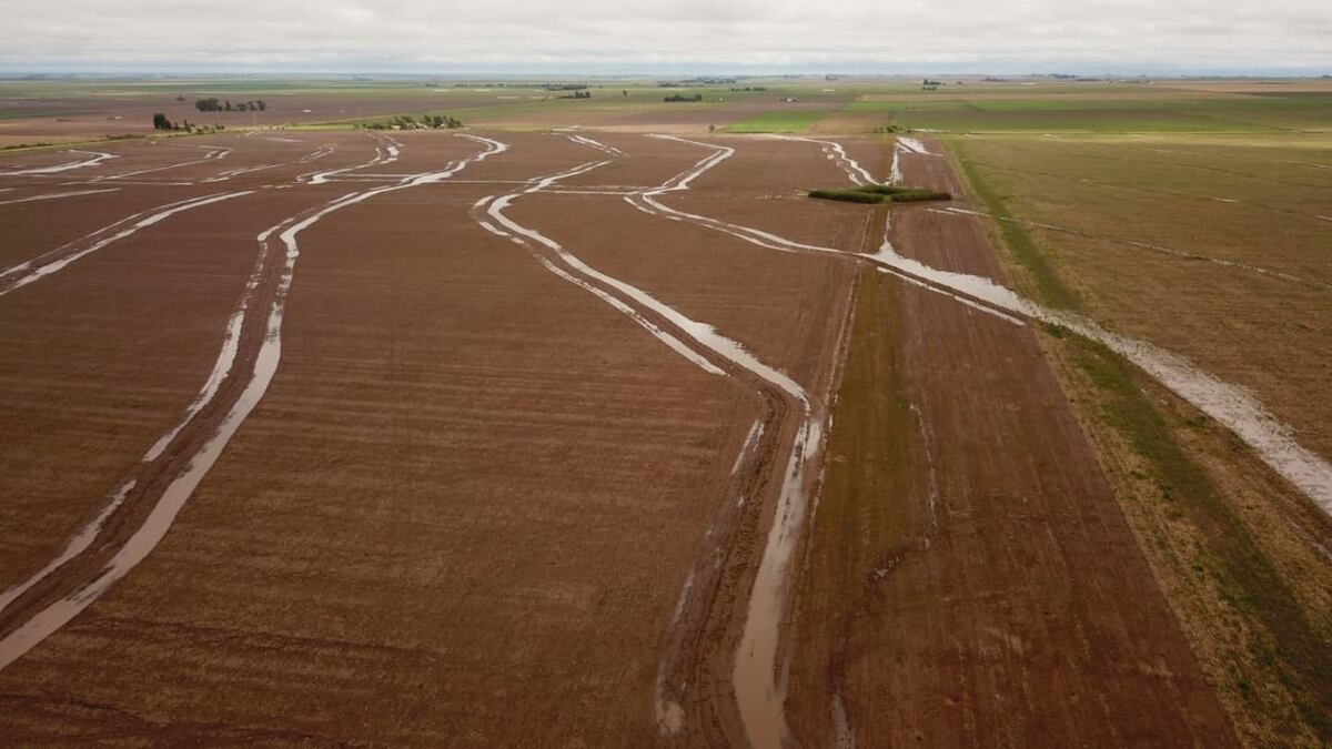 La pérdida de suelo, la destrucción de caminos y el aislamiento de localidades son sólo algunas de las problemáticas que surgen con las precipitaciones intensas y un inadecuado manejo del agua y el suelo., señalan desde el Ciapc. (Gentileza Ciapc)