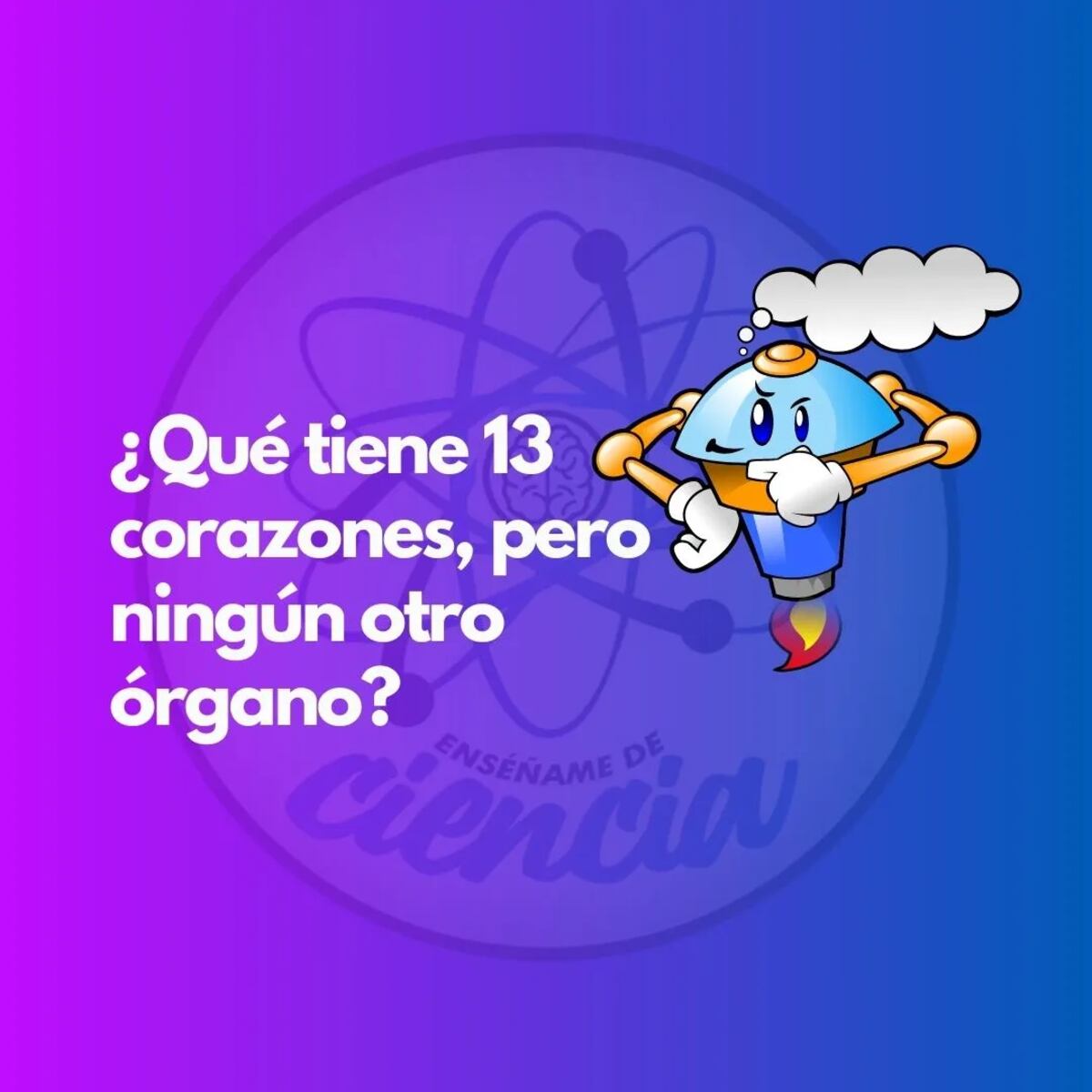 El acertijo visual.