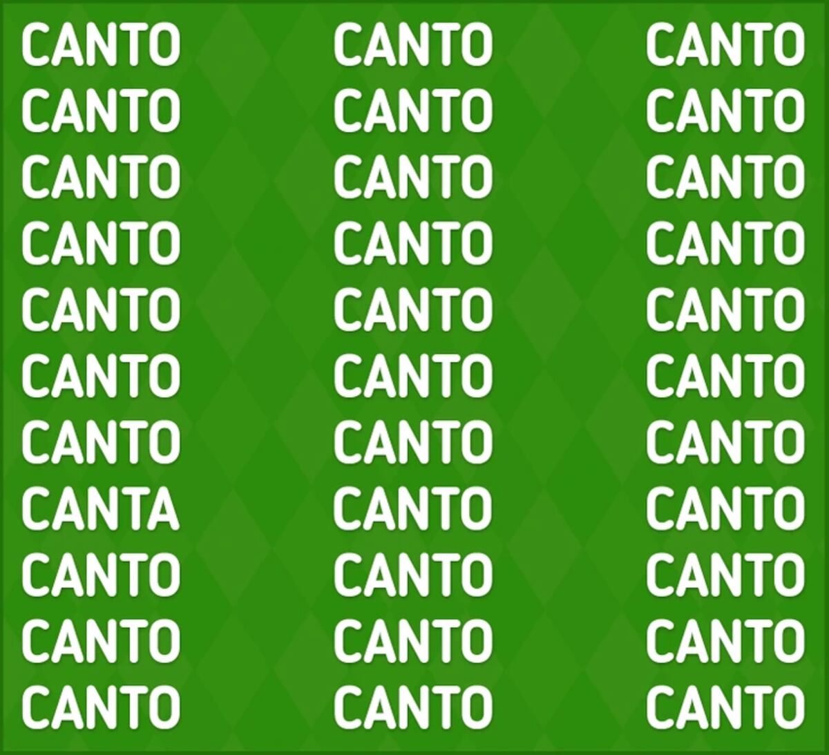 El acertijo visual.
