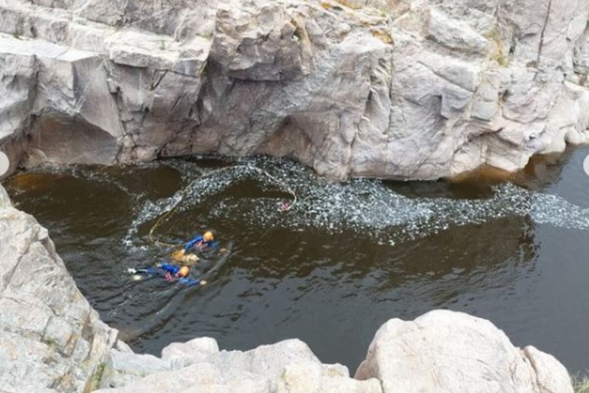 Los bomberos acompañaron al perro a nado por el Río Los Sauces. (Gentileza Bomberos)