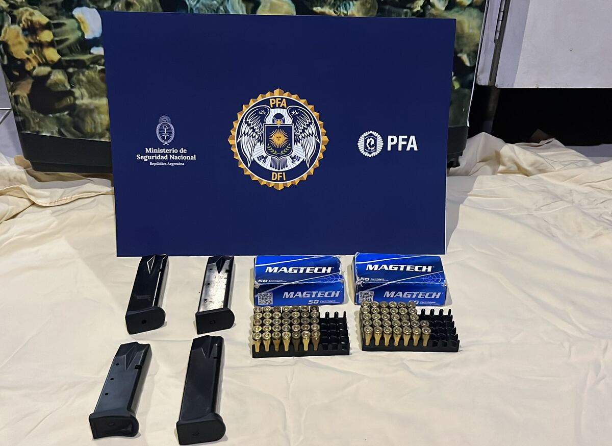 Secuestro de cargadores y proyectiles. (FPA)