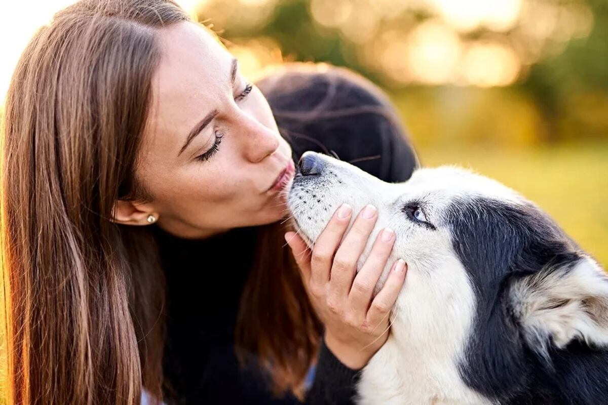 Por todos estos motivos no deberías besar a tu perro, según un reconocido virólogo