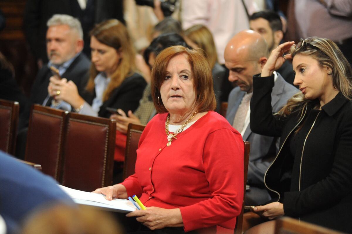 Alejandra Vigo, senadora nacional por Córdoba. (Federico López Claro)