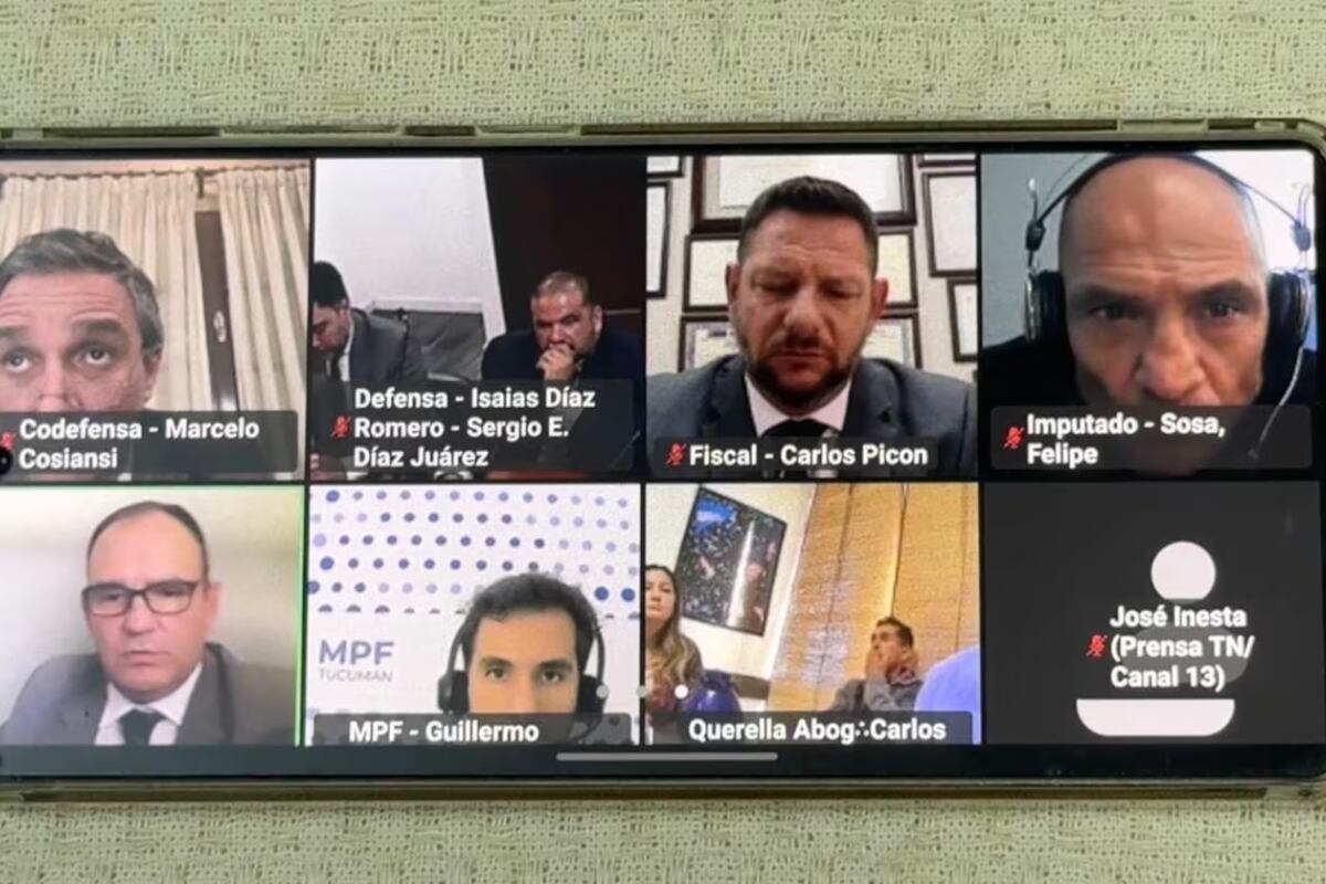 Así fue la audiencia en la que imputaron a Felipe Sosa, el principal acusado por el crimen de Érika Álvarez. (Foto: TN).