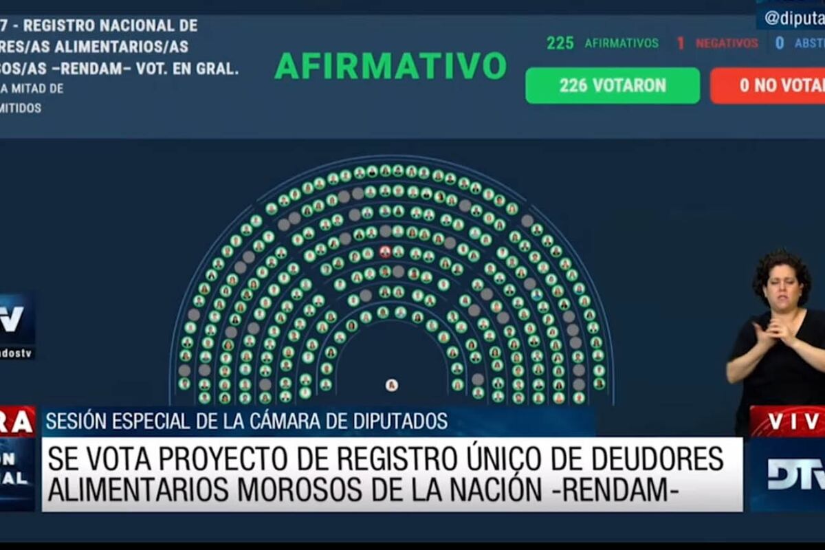 Sesión especial de la Cámara de Diputados (imagen captura de video)