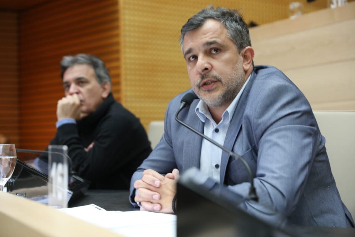 El legislador Diego Hak fue uno de los autores del proyecto.