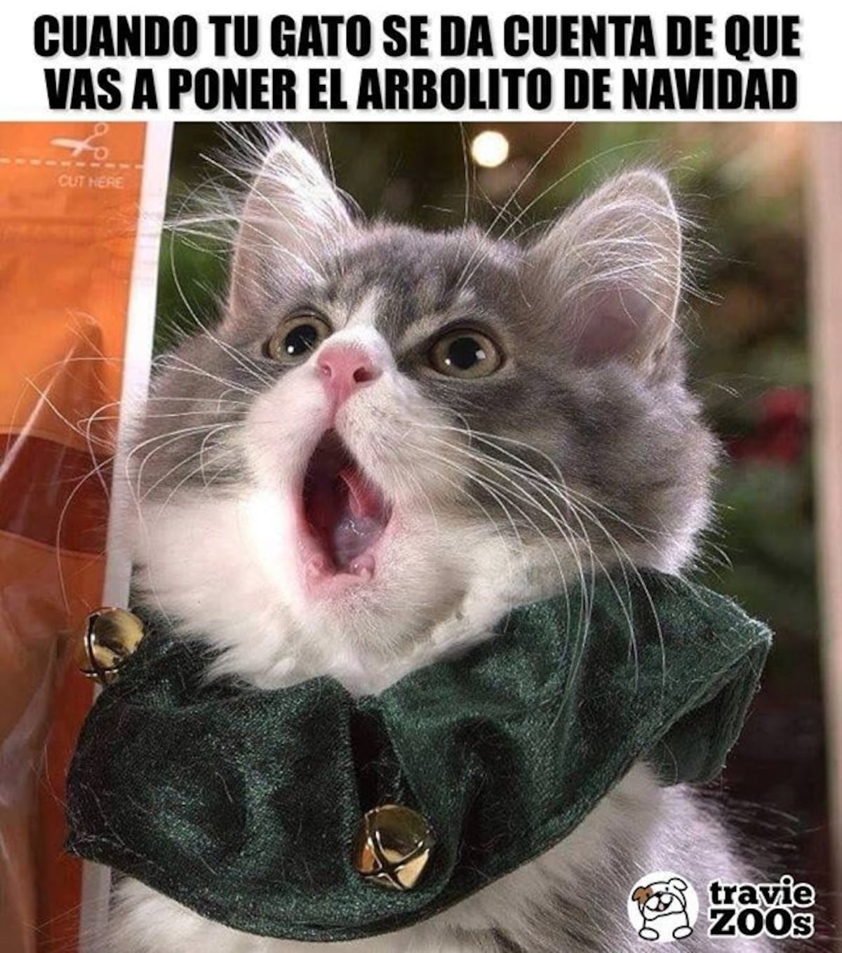Meme de Navidad.