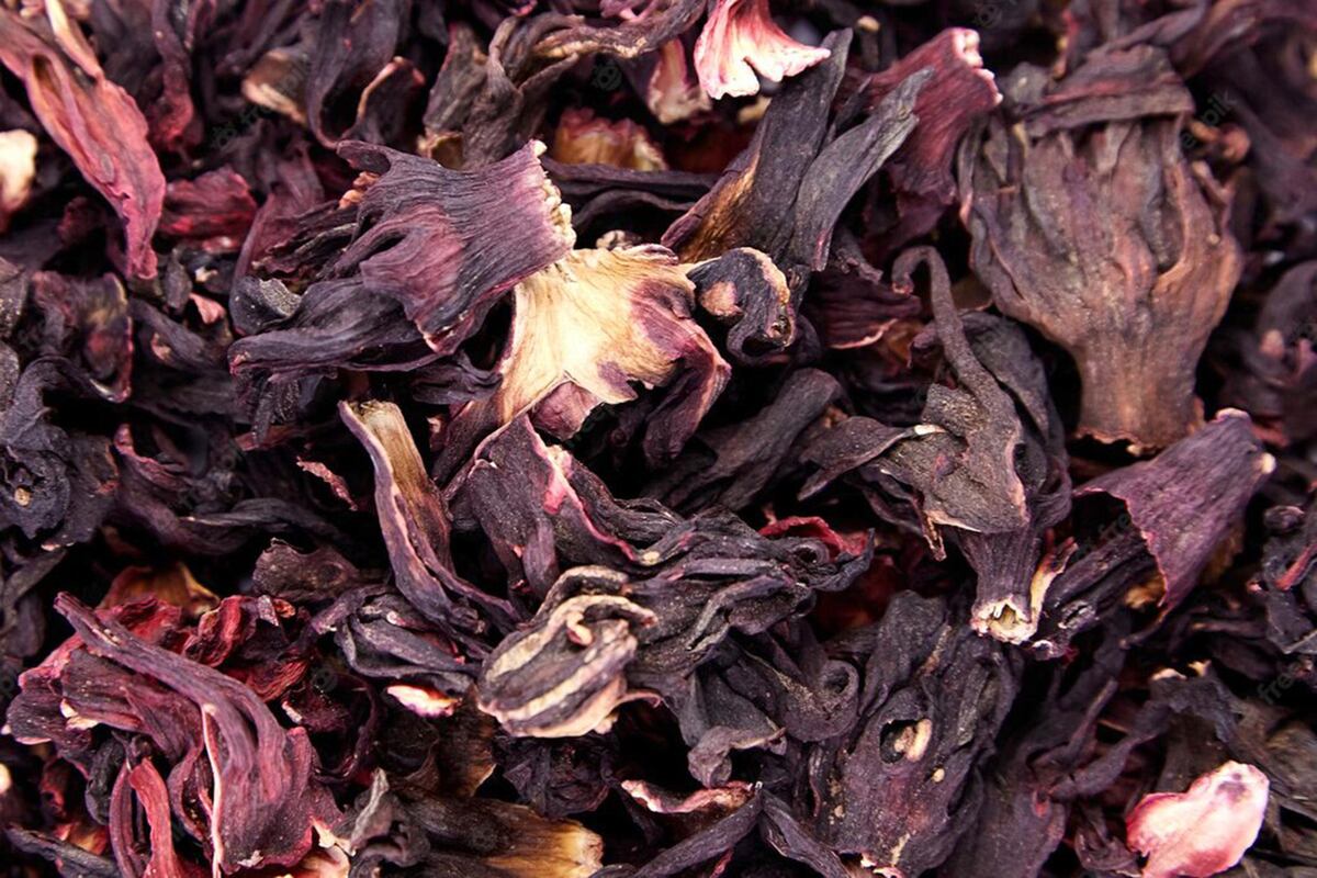 Flor de hibisco, o hibiscus, también llamada rosa de Jamaica o flor de Jamaica. (Freepick)
