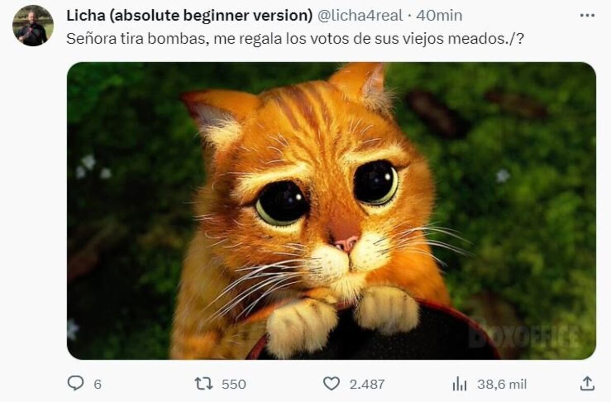 Los mejores memes tras las elecciones.
