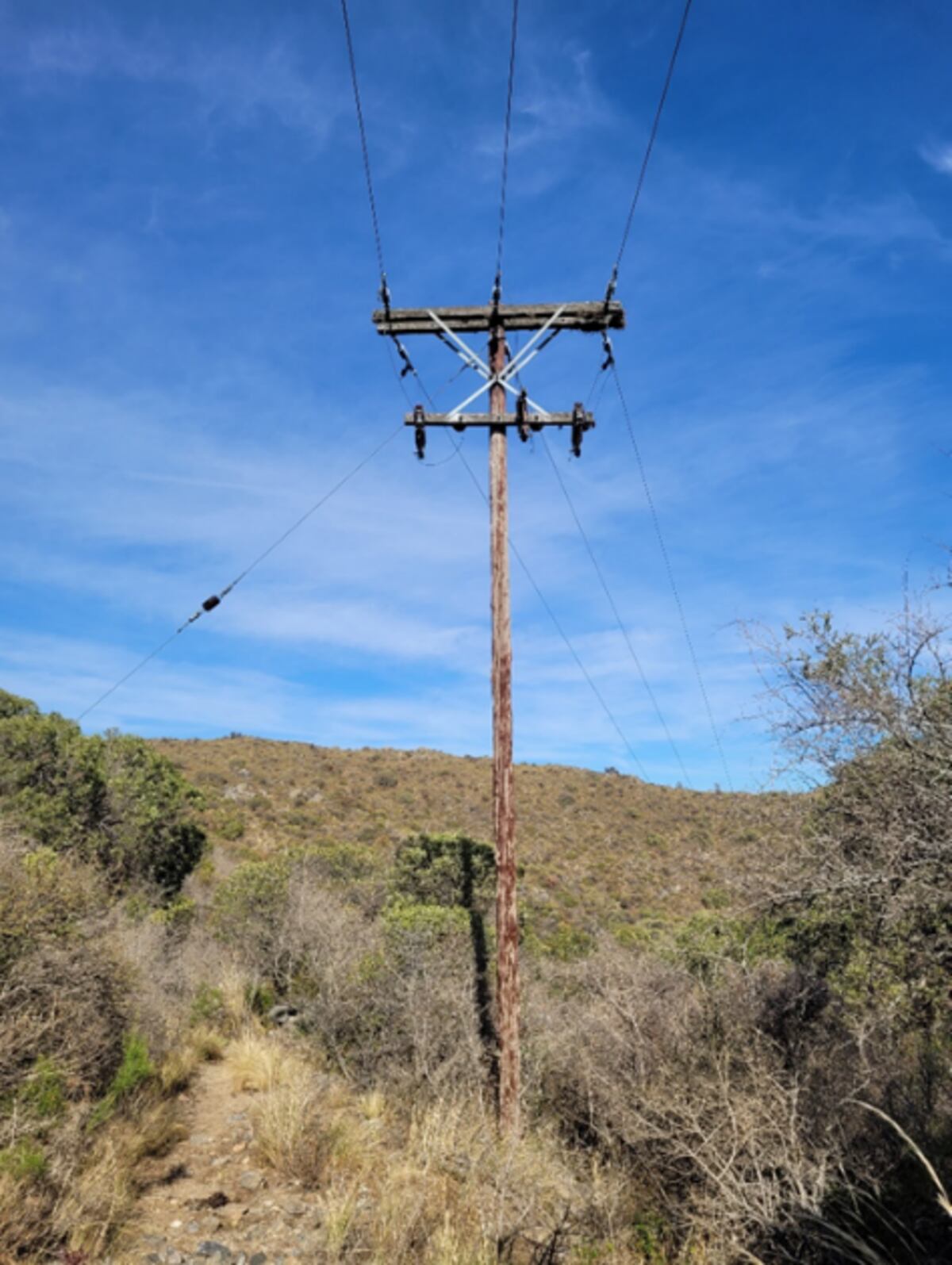 Estado actual de la infraestructura en la zona: postes de madera deteriorados y sin condiciones para soportar demanda creciente ni fibra óptica.
