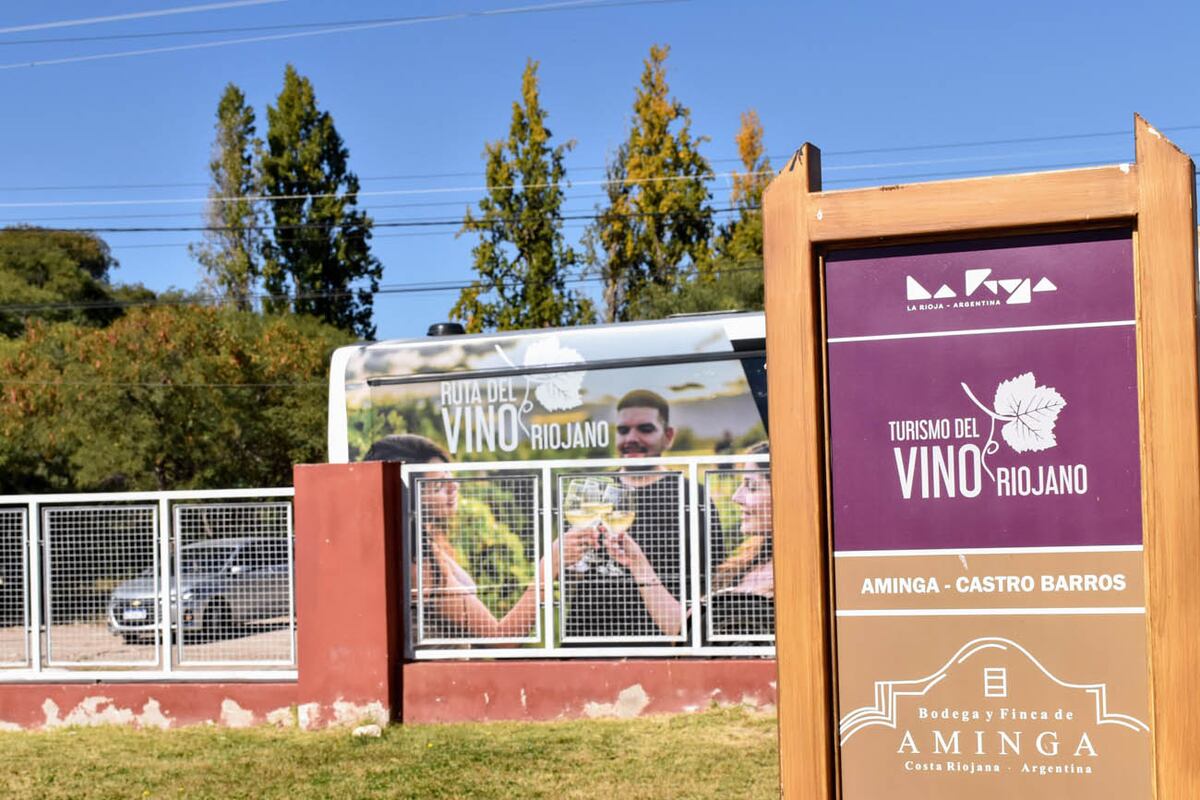 Bodega y finca de Aminga.