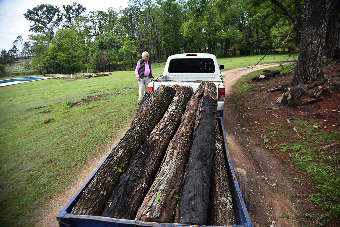 Retiro de troncos quemados o caídos. El barrio privado estaba rodeado de forestaciones. (Pedro Castillo/ La Voz)