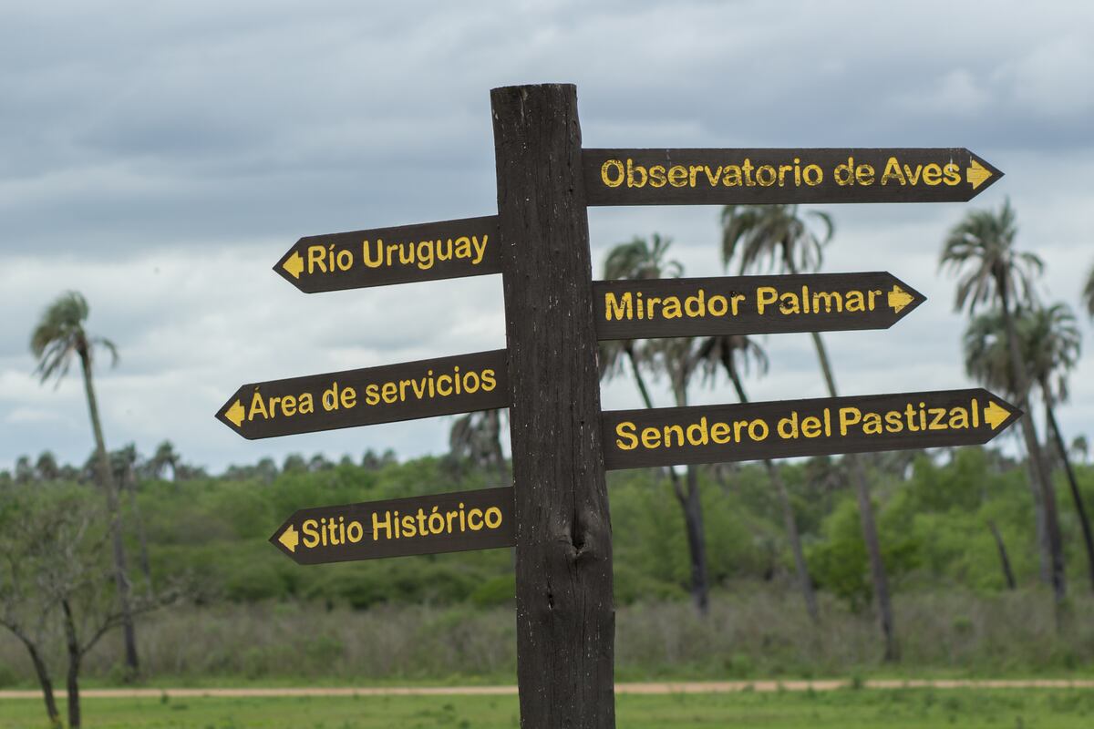 Isla rodeada por el agua. La ciudad está entre los arroyos de la Leche y Artalaz, y el majestuoso Uruguay. (Gentileza: Ariela Malem)