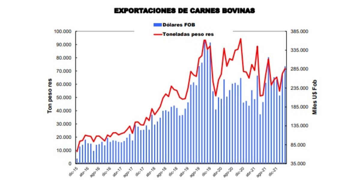 exp de carnes
