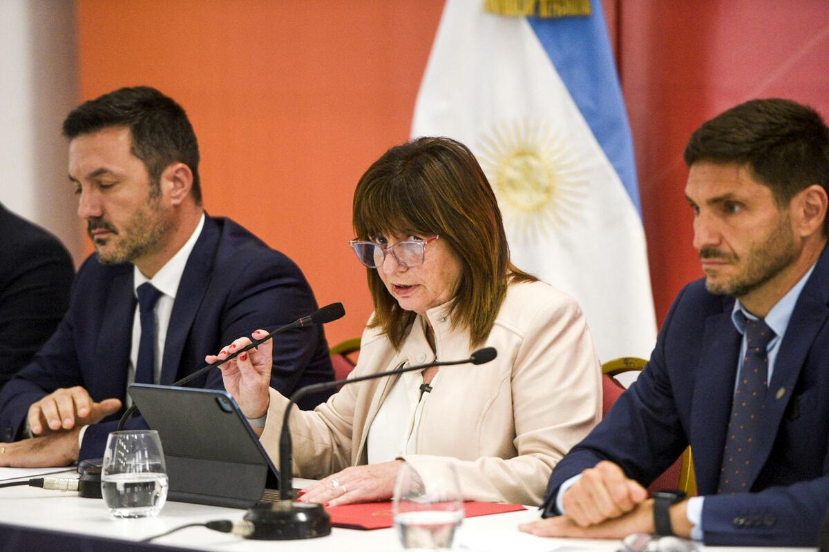 Patricia Bullrich armó un comité de crisis. (AP)