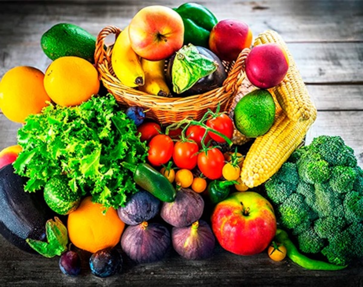Descubrí el “Plato Perfecto” según Harvard: la guía nutricional que ayuda a combatir la obesidad