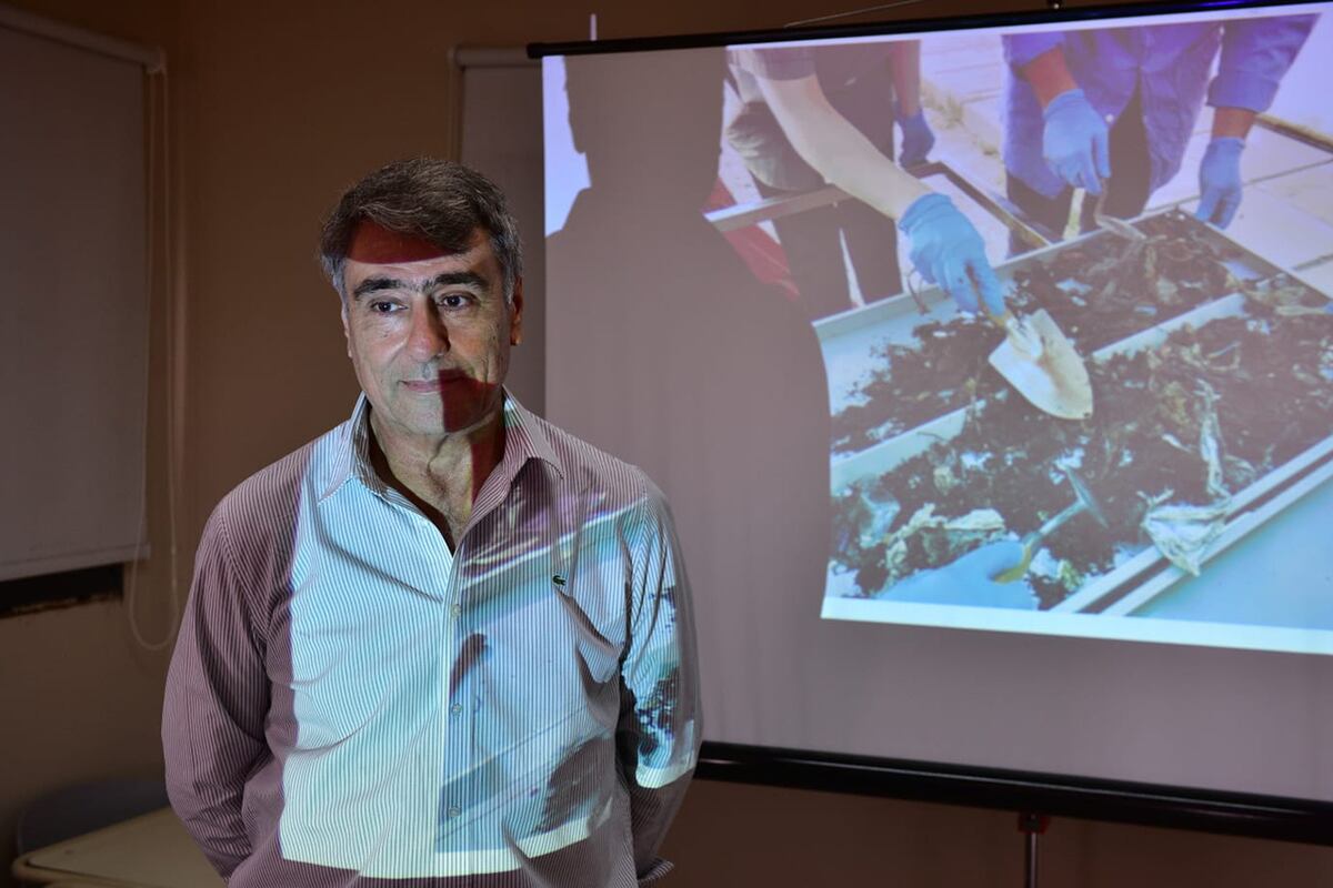 Forense Moisés Dib. (José Gabriel Hernández / La Voz)