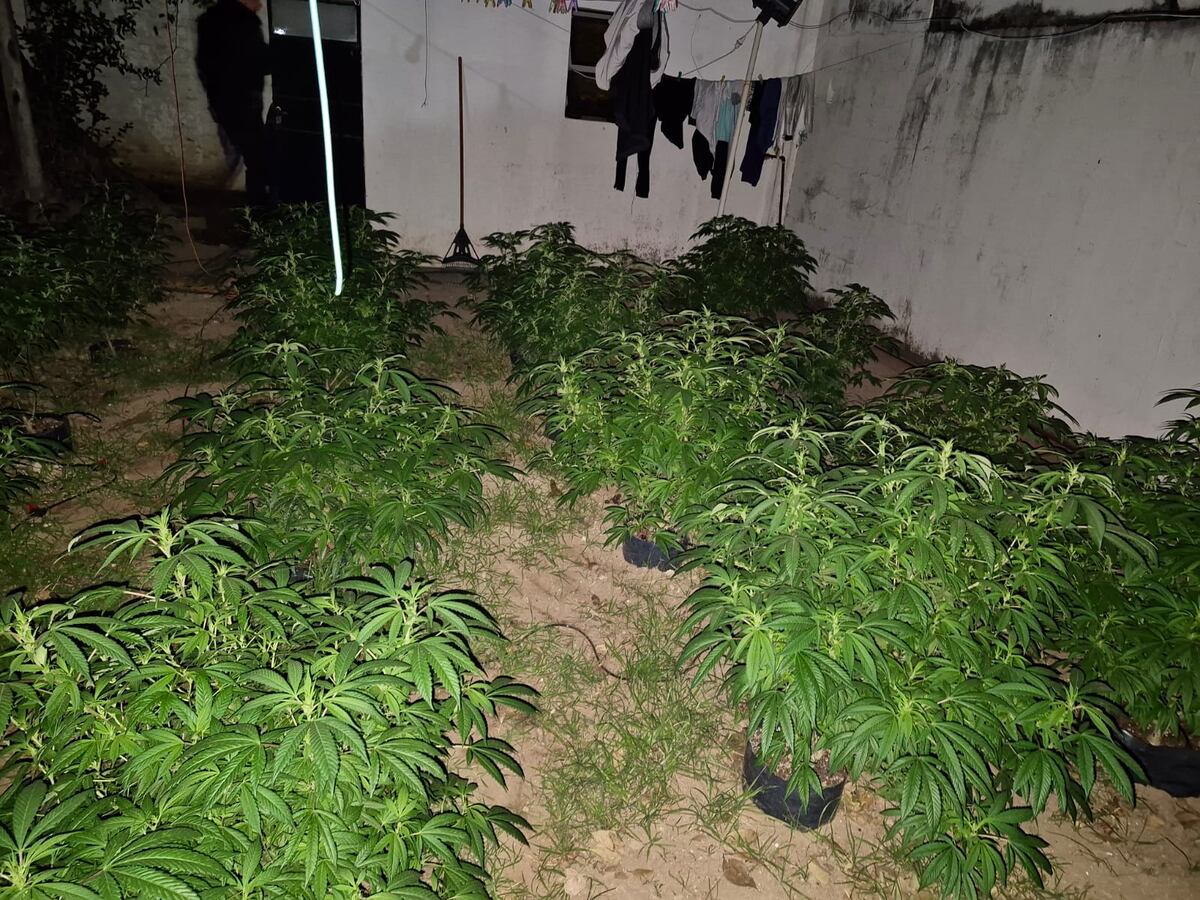 La droga hallada. (Policía)