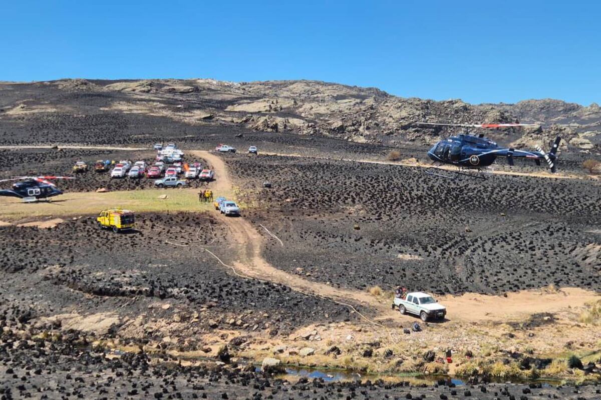Quebrada del Condorito. Zonas de pastizales ya quemados por el fuego. (APN)