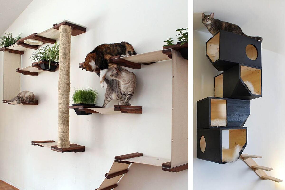 Los espacios aéreos son indispensables para que los gatos puedan tener el control del lugar. Cuidado al elegir las plantas para su decoración.