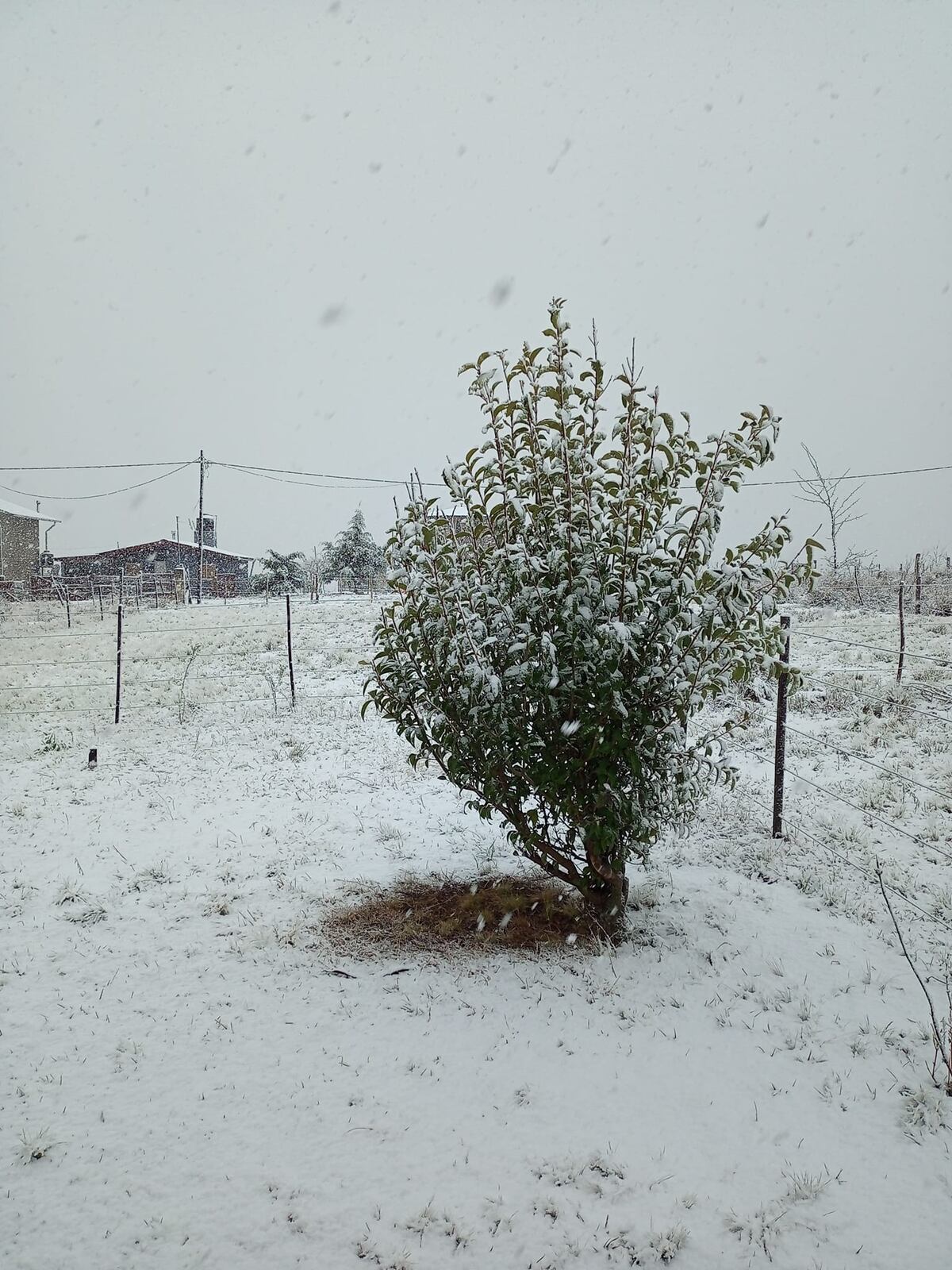 La nieve en el Champaquí en el inicio de la primavera. (Esteban Parodi/Facebook)