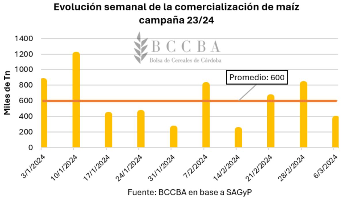 BCCBA